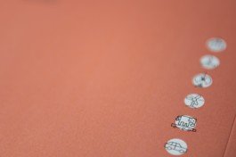 ZDS Jahresbericht Relaunch Natalie Gaspar