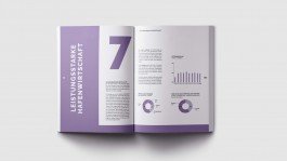 ZDS Jahresbericht Relaunch Natalie Gaspar