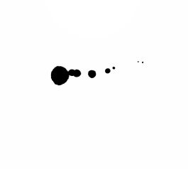 Natalie Gaspar | Freelance Senior Designer