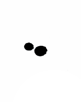 Natalie Gaspar | Freelance Senior Designer